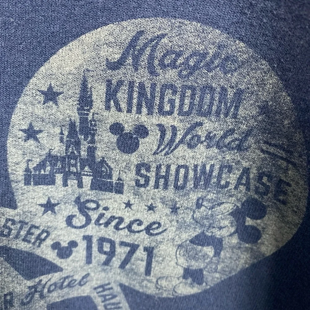 Disney Parks Walt Disney World Hoodie Blue Sweatshirt Park Small Women Hanes
